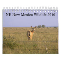 NE New Mexico Wildlife 2010 calendars by StormShooter NE New Mexico Wildlife 2010 calendars
