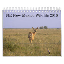 NE New Mexico Wildlife 2010 Wall Calendars
