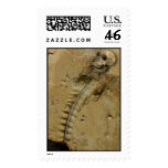 NEANDERTHAL POSTAGE STAMPS
