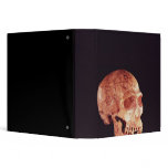 Neanderthal Skull, discovered on Mt Carmel 3 Ring Binder
