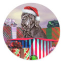 Neapolitan Mastiff Christmas Black sticker