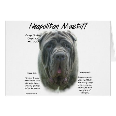 hercules neo mastiff