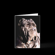 Neapolitan mastiff notecard by ritmoboxer Neapolitan mastiff notecard