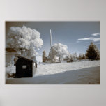 Near Infrared October Scene Print