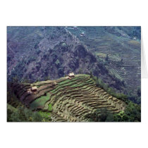 Near Tapelijung, Nepal Greeting Card