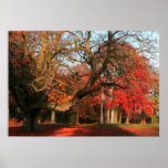 Nearly Here Canvas & Poster Print