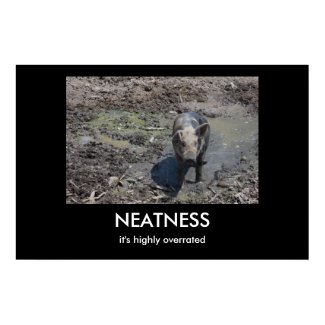 Neatness is overrated. Neatness is overrated poster.