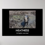 NEATNESS posters