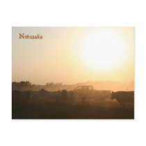 Nebraska Postcard