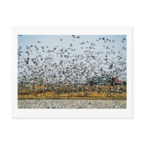 NEBRASKA VIEWS postcards by 43rdsfan NEBRASKA VIEWS postcards