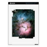 iPad Skins