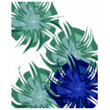 Nebulosa White t-shirts
