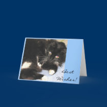 Necco's Best Wishes cards