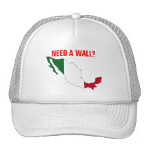 ¿NECESITE UNA PARED? GORRA