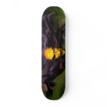 necromancer skate board