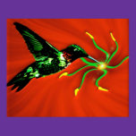 Nectar from the Gods Male Hummingbird Poster posters