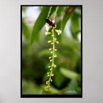 Nectar Of Life (Blank) posters