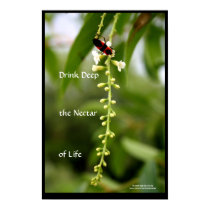 Nectar of Life posters by kellyannettes Nectar of Life posters