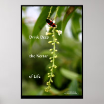 Nectar of Life posters