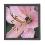 Nectar of the Orient premium gift boxes