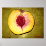 Nectarin Print