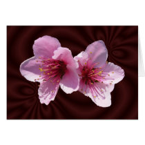 Nectarine Blossoms ~ card by Andy2302 Nectarine Blossoms ~ card