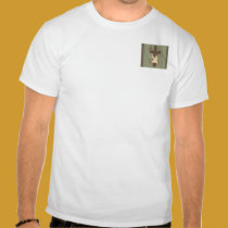 Need (apparel pocket, back) t-shirts