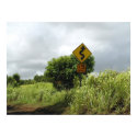 Need GPS posters by Adamophoto Need GPS posters