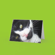 Neener, Neener, Neener Card cards