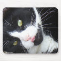 Neener, Neener, Neener Mousepad.