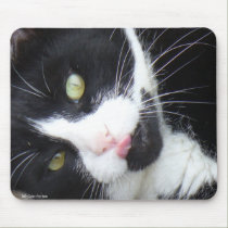 Neener, Neener, Neener Mousepad.