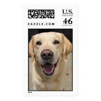 Neffa postage