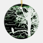 Negative Night Vision Nevermore Raven Silhouette Christmas Tree Ornament