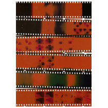 negatives t-shirts by brobob64 negatives t-shirts