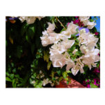 Negril, Jamaica Postcards