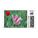 Neighboring Tulips postage