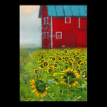 Neighbors Barn posters