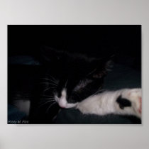 neko in lap posters