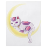 Neko Moon flyers