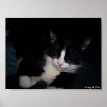 Neko n lap posters
