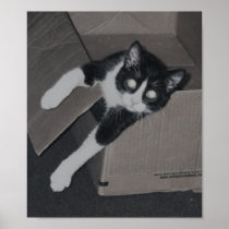 neko posters