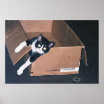 neko posters