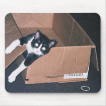 nekoo (2) c mousepads
