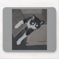 nekoo (2) mousepads