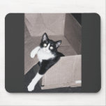 nekoo mouse mats