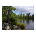 nelligan lake posters