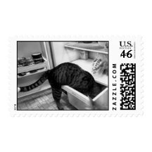 NELSON IN THE FRIDGE USPS STAMP