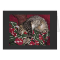 nemo sleeps 2 cards