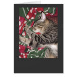 nemo sleeps 3 cards