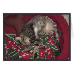 nemo sleeps greeting cards